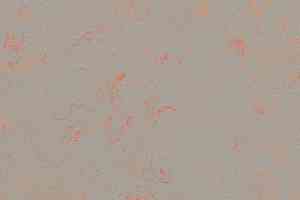 Линолеум Forbo Marmoleum Decibel on Order 371235 orange shimmer фото  | FLOORDEALER